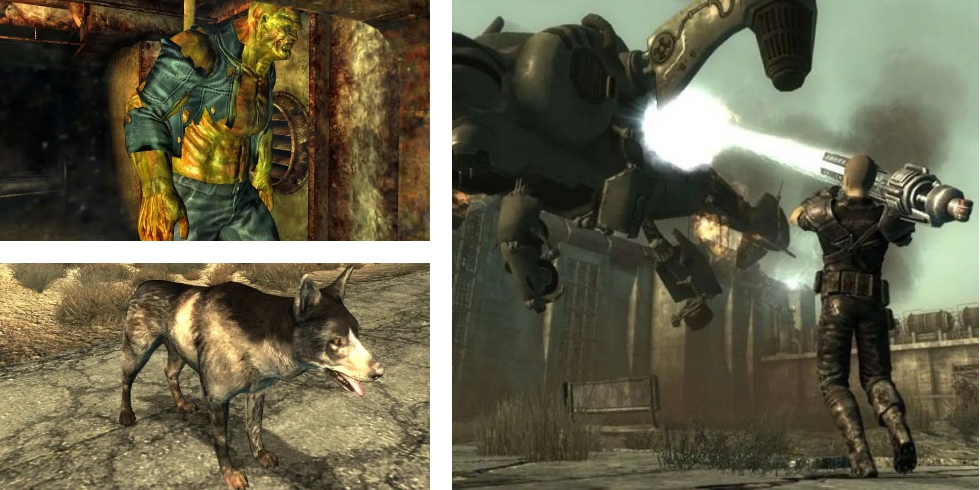 Các bạn đồng hành tiềm năng trong Fallout 3, nhân vật có thể giúp giải quyết lỗ hổng về Project Purity.