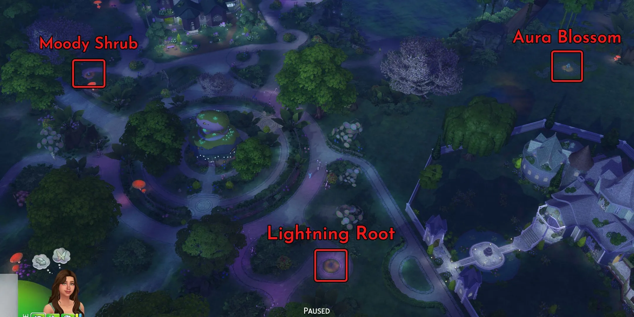 vị trí cây Everdew Aura Blossom Sims 4